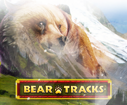Bear Tracks