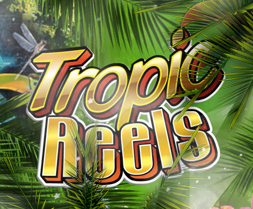Tropic reels